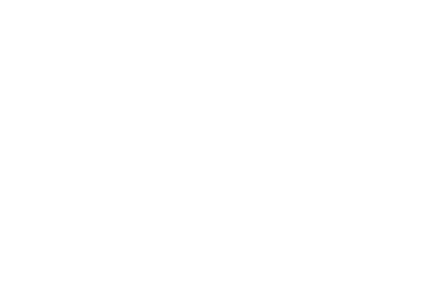 Jesse & Joy