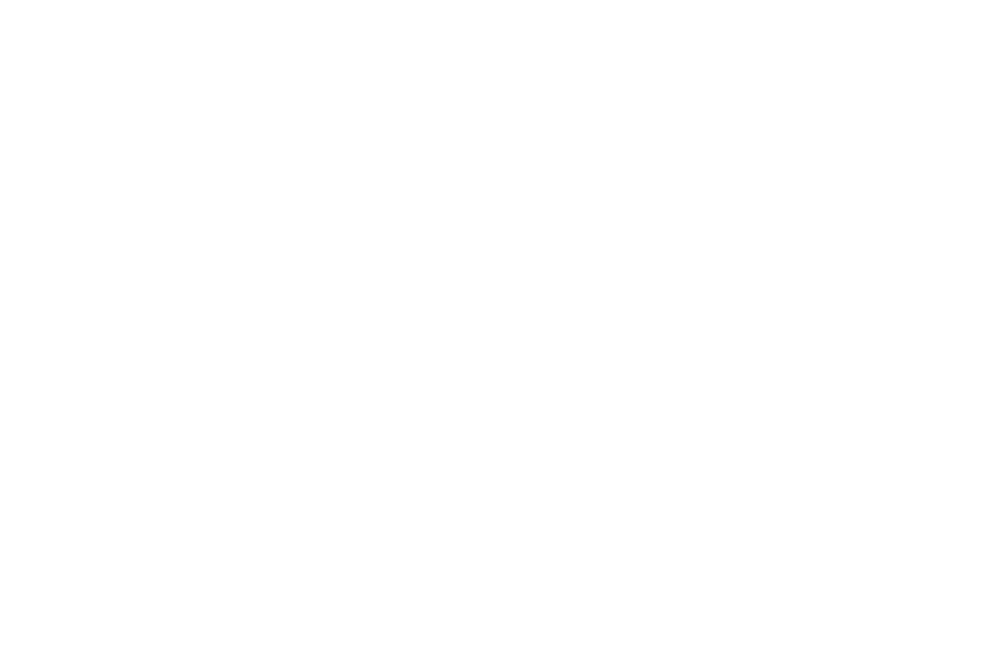 Pedro Capó