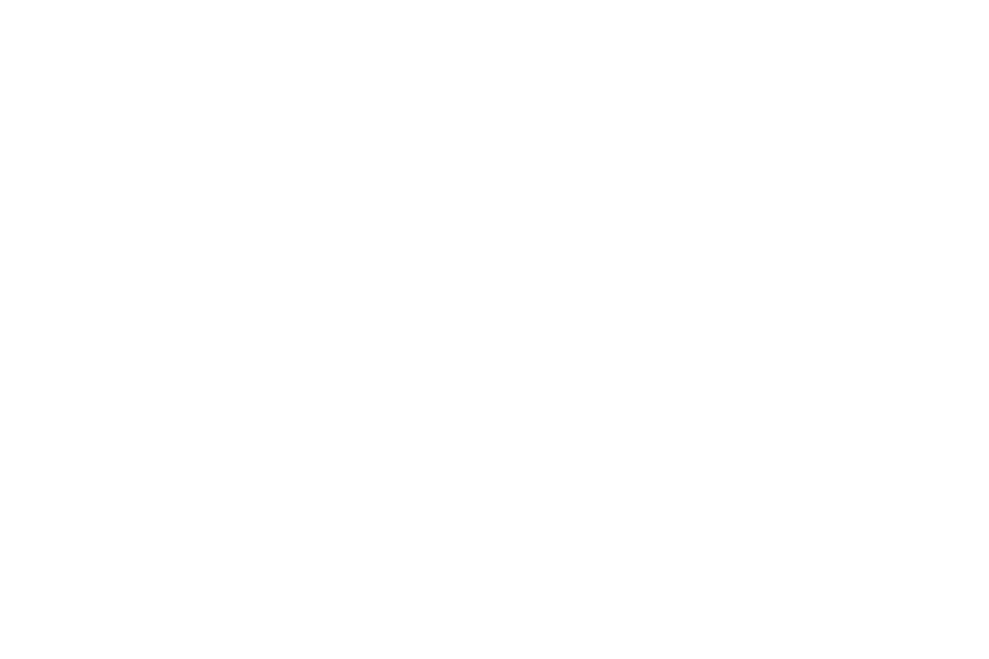 Ruta N